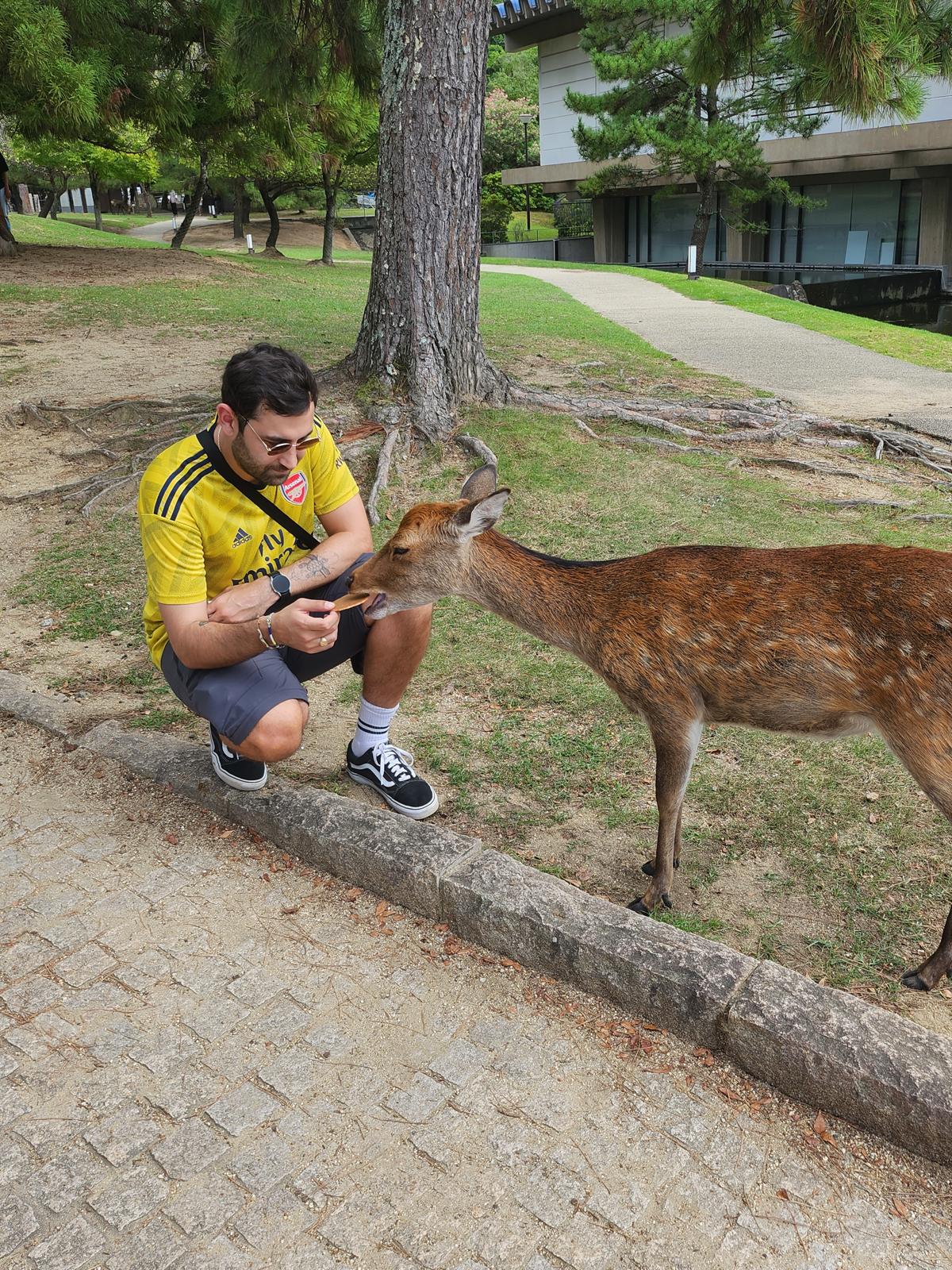 Sean feeding a deer in Nara, Japan