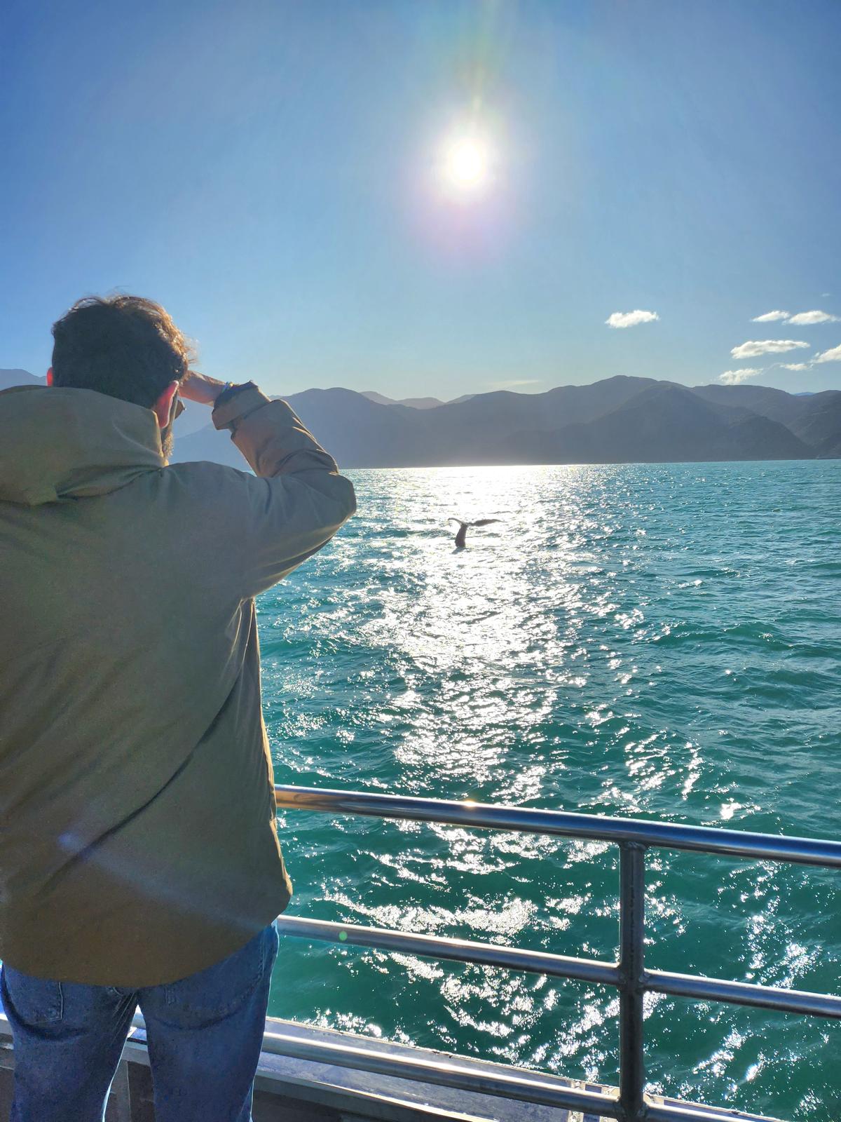 myself whale watching in New Zealand